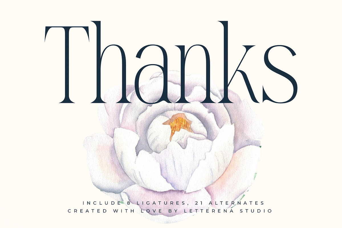 Mostlight Modern Alternate Serif, a Serif Font by Letterena Studios (Photo 15 of 15)