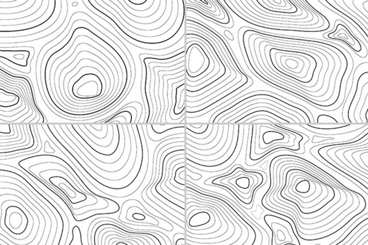 8 Vector Topographic Map Contours preview 4