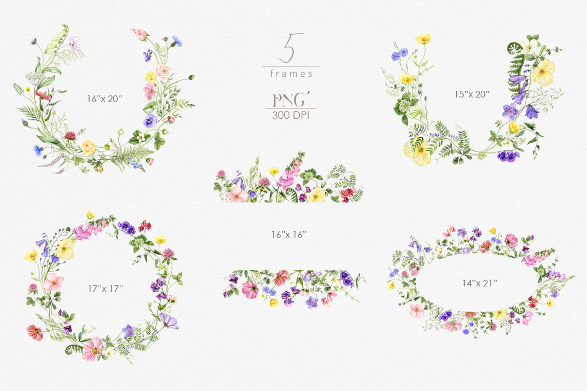 Wildflower watercolor floral clipart, a Decorative Illustration by ReachDreams (Photo 3 of 10)
