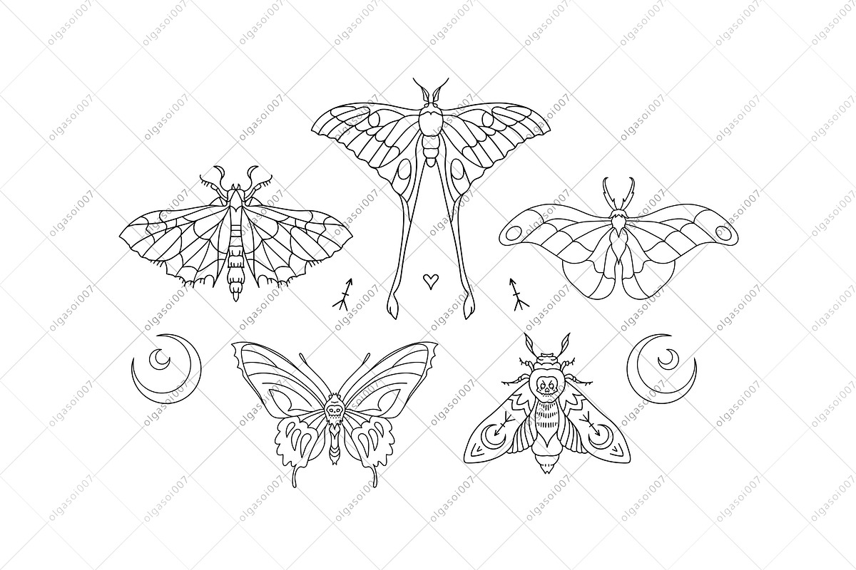 Halloween moths, a Decorative Illustration by OlgaSoi007 (Photo 5 of 7)