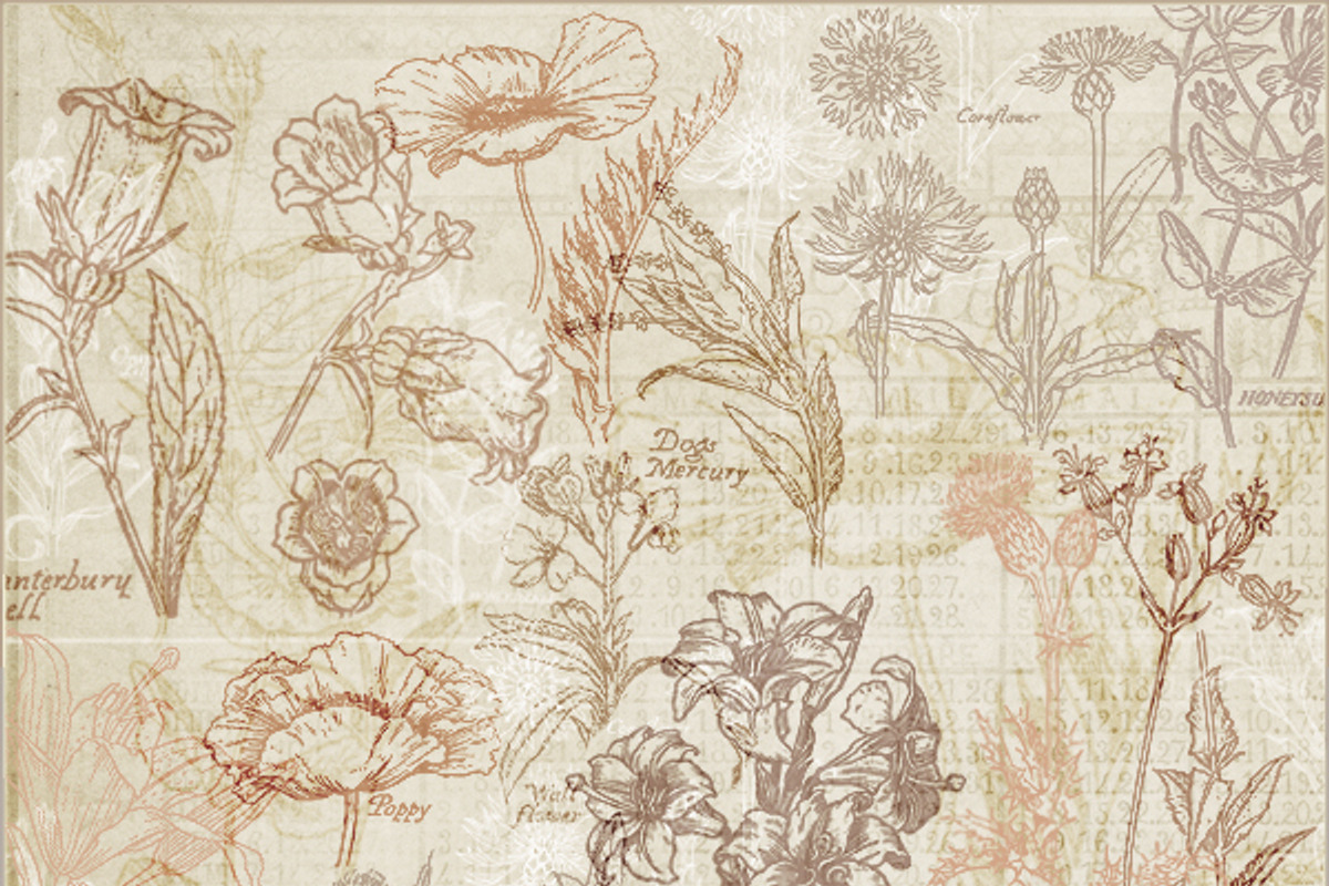 Vintage Floral Brushes 2, a Brush Add-On by Jodie Lee Studio