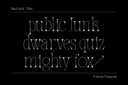 Meal - Serif Display Family, a Serif Font by Holyline Design (Thumbnail 13 of 15)