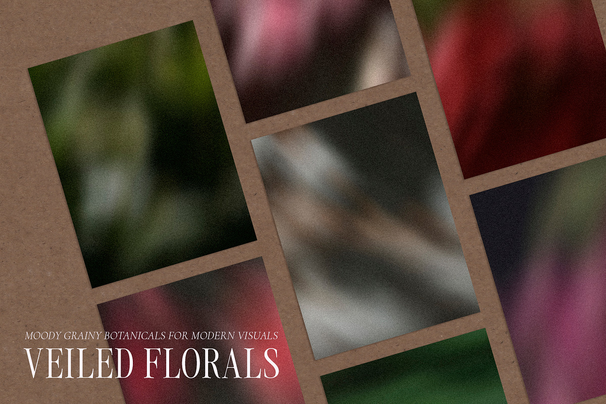 Veiled Florals - Blurry Backgrounds, a Background Graphic by Dina Mae (Photo 8 of 14)