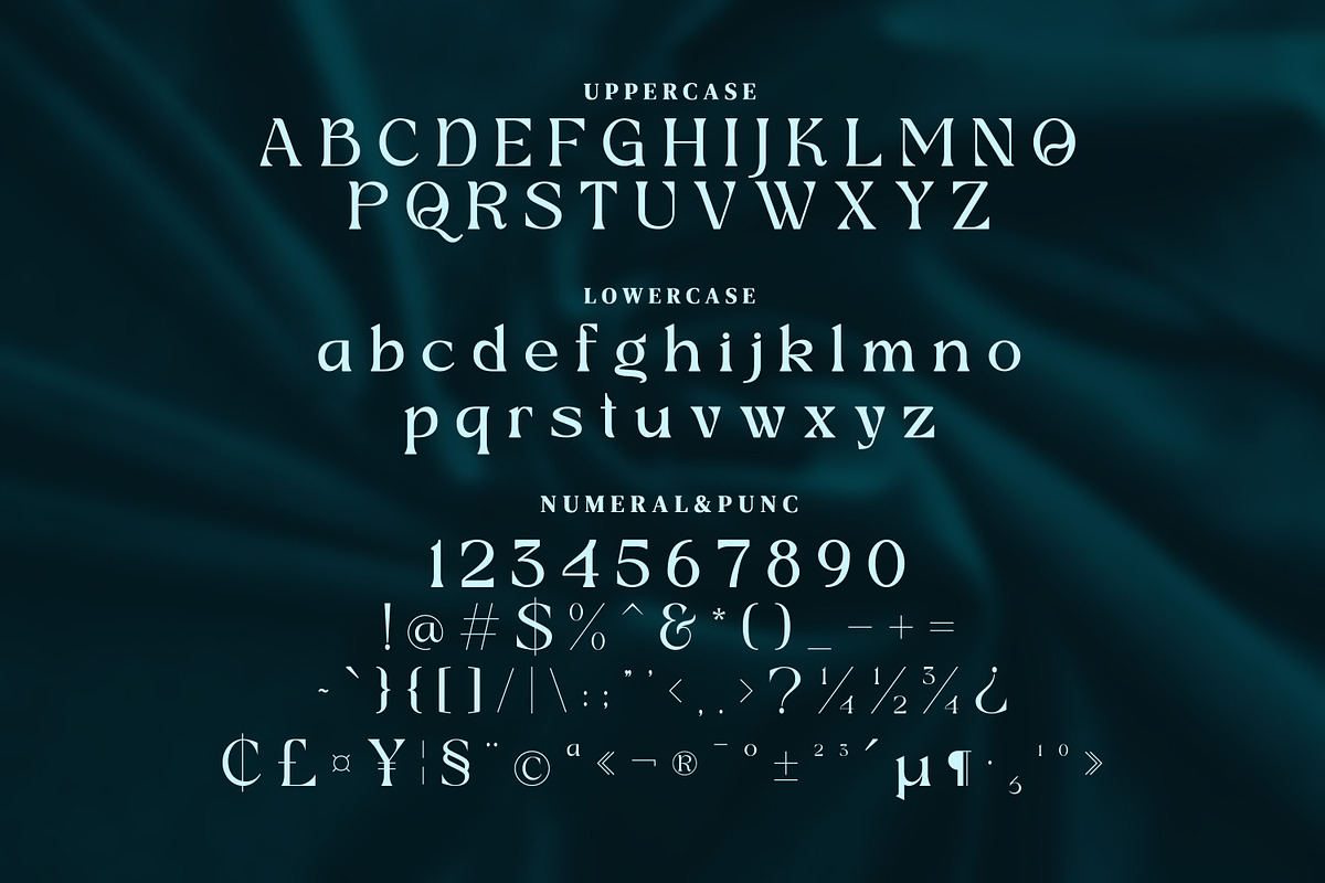 Bahgian Serif Fonts, a Serif Font by mahstudios (Photo 11 of 14)