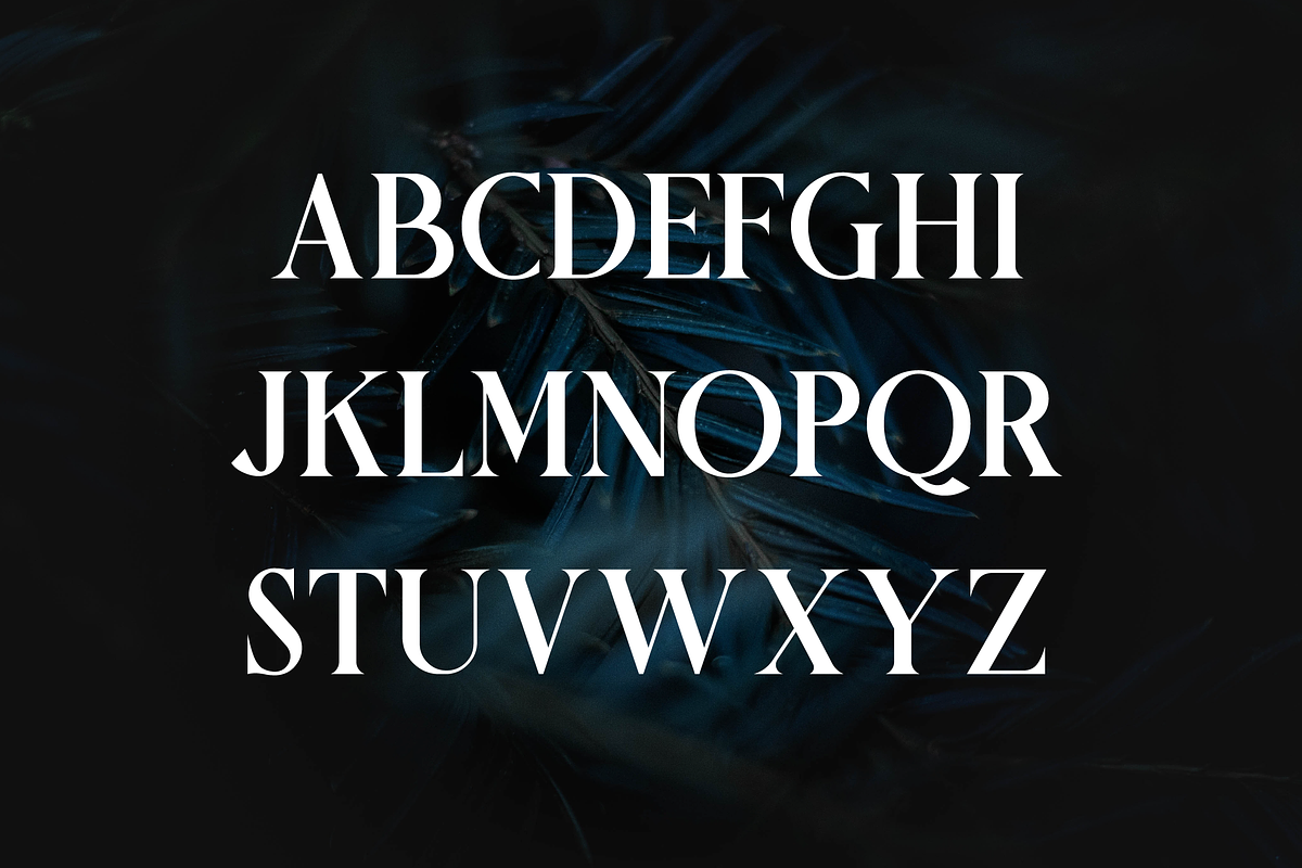 Griena Elegant Serif, a Serif Font by Maryamtype Studio (Photo 14 of 15)