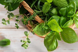 Fresh garden herbs in weaving basket for cooking, a Food & Drink Photo by Olena Rudo