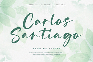 Bridget - Modern Script Font