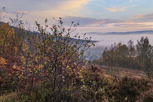 Cloudy and foggy early morning autumn meadow scene. Peaceful pic, a Nature Photo by YuriyB