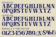 Record Themes - Elegant Font, a Serif Font by 177Studio (Thumbnail 7 of 8)