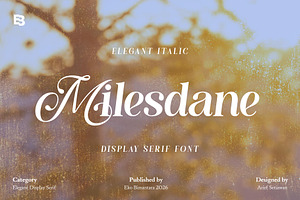 Milesdane; Italic Display Serif