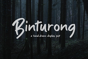 Binturong: A Hand Drawn Display Font