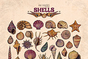 Enchanted Sea Bundle Fantasy Marine, an Animal Illustration by Ink Stories (Thumbnail 27 of 54)