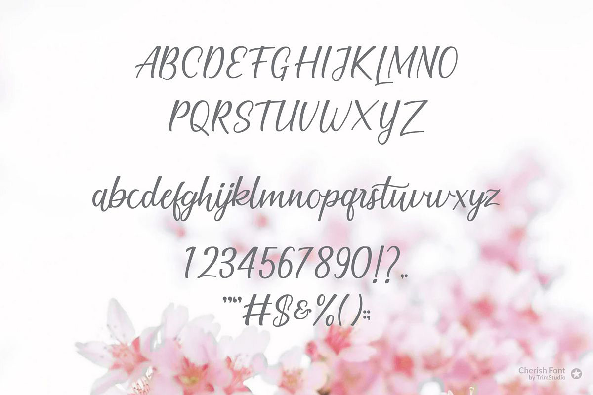 Cherish Modern Script Font Set, a Script Font by TrimStudio (Photo 7 of 11)