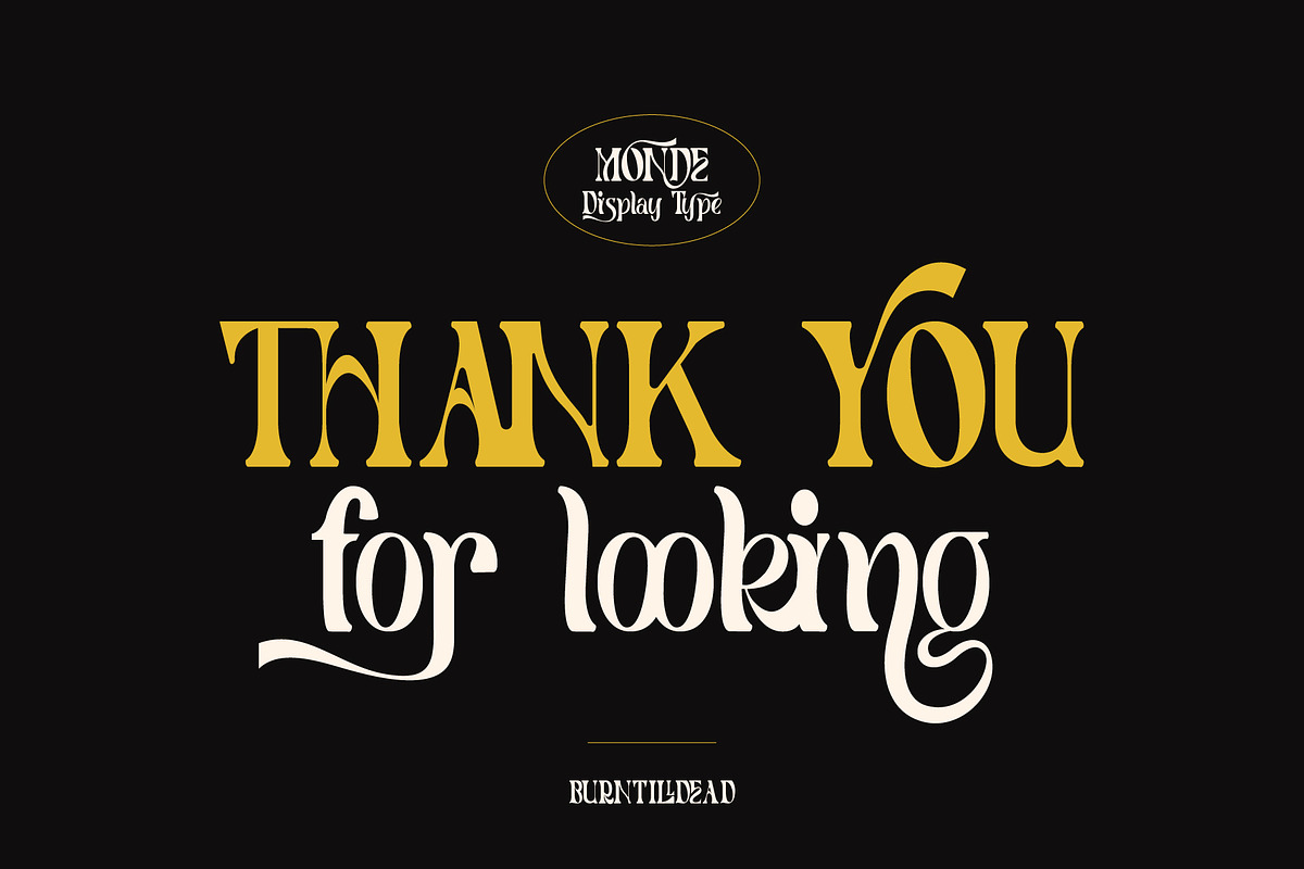 Monde - 100 Ligatures, a Serif Font by Burntilldead (Photo 16 of 16)