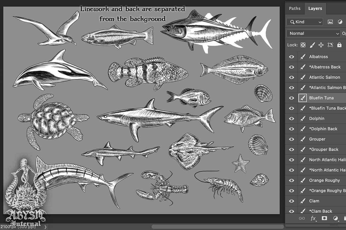 Hand Drawn Fish and Sea Animals, an Animal Illustration by Abysm Internal (Photo 2 of 2)