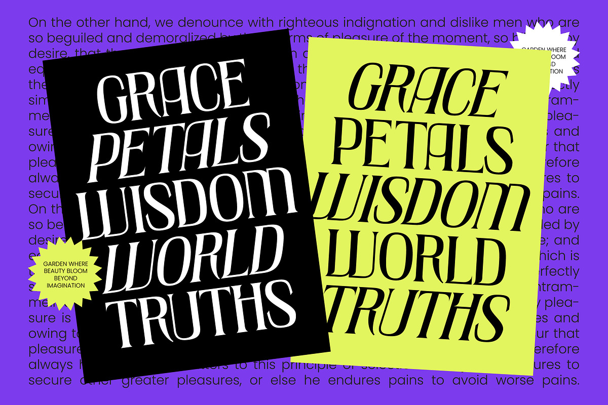 Creative Vision Victorian Display, a Serif Font by timelesstype.co (Photo 3 of 10)