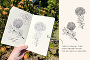 Botanical Sketch Vector Illustration, a Decorative Illustration by Emma Webb Studio (Thumbnail 3 of 7)