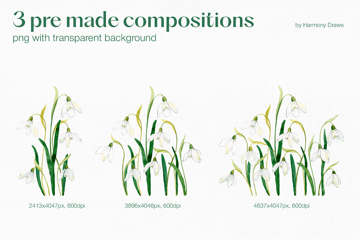 Spring Snowdrops Flowers Collection, an Object Illustration by Harmony Draws (Photo 3 of 9)