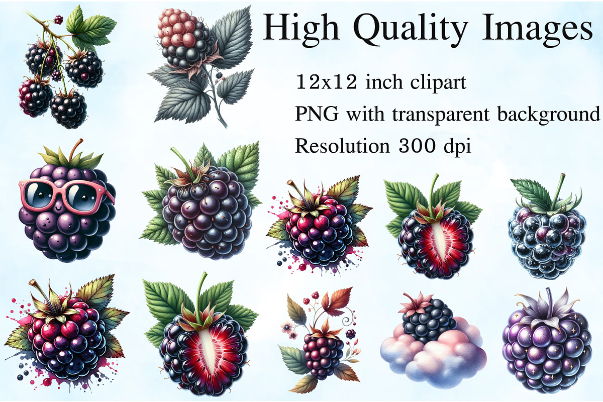 Watercolor Blackberry Clipart, an Illustration by Craft Nest (Photo 2 of 6)