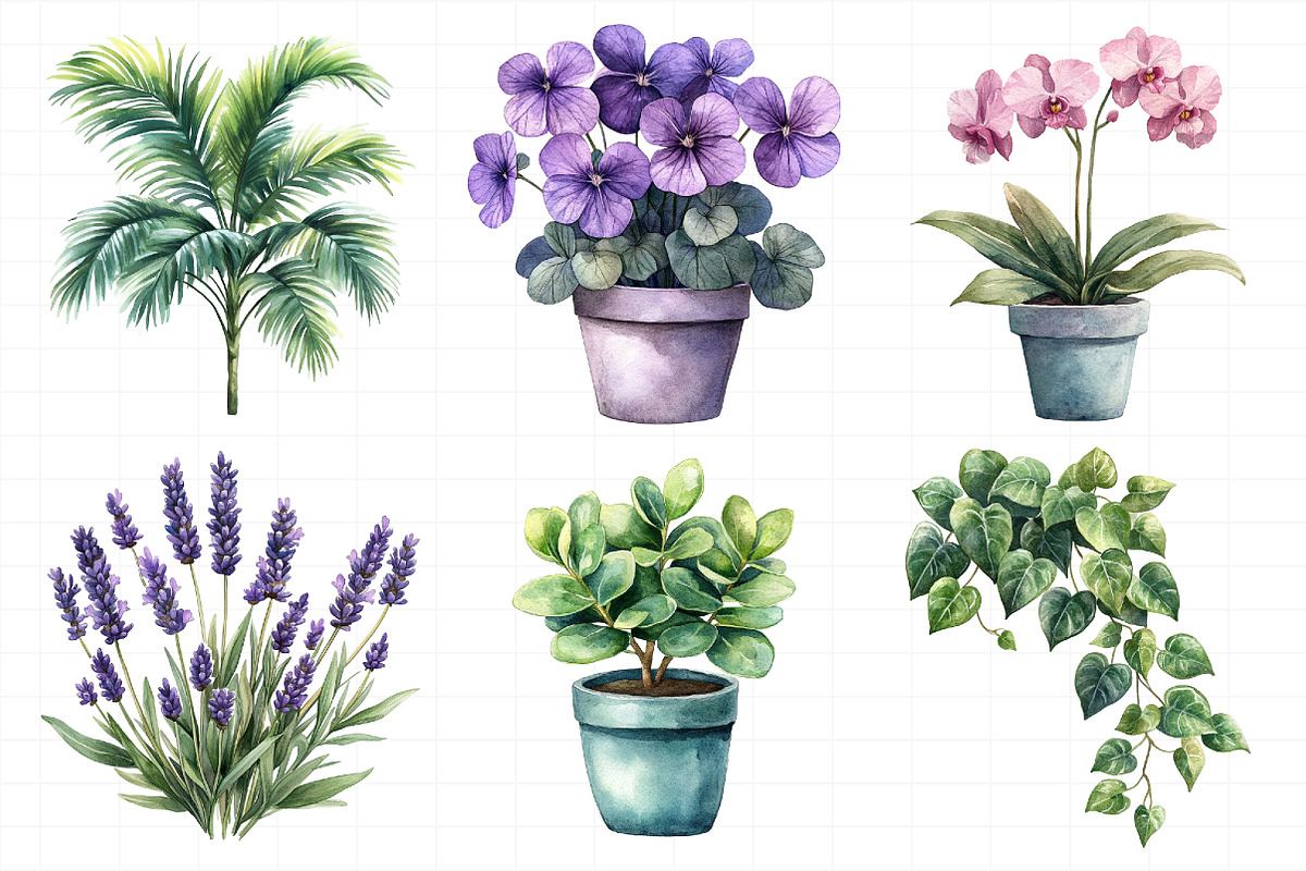 Watercolor Home Plants Clipart, an Illustration by Daily.Designs (Photo 5 of 8)
