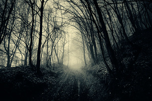Path through haunted dark forest
