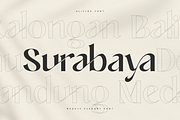 Alifira - Beauty Elegant Font, a Sans Serif Font by Sensatype (Thumbnail 12 of 17)