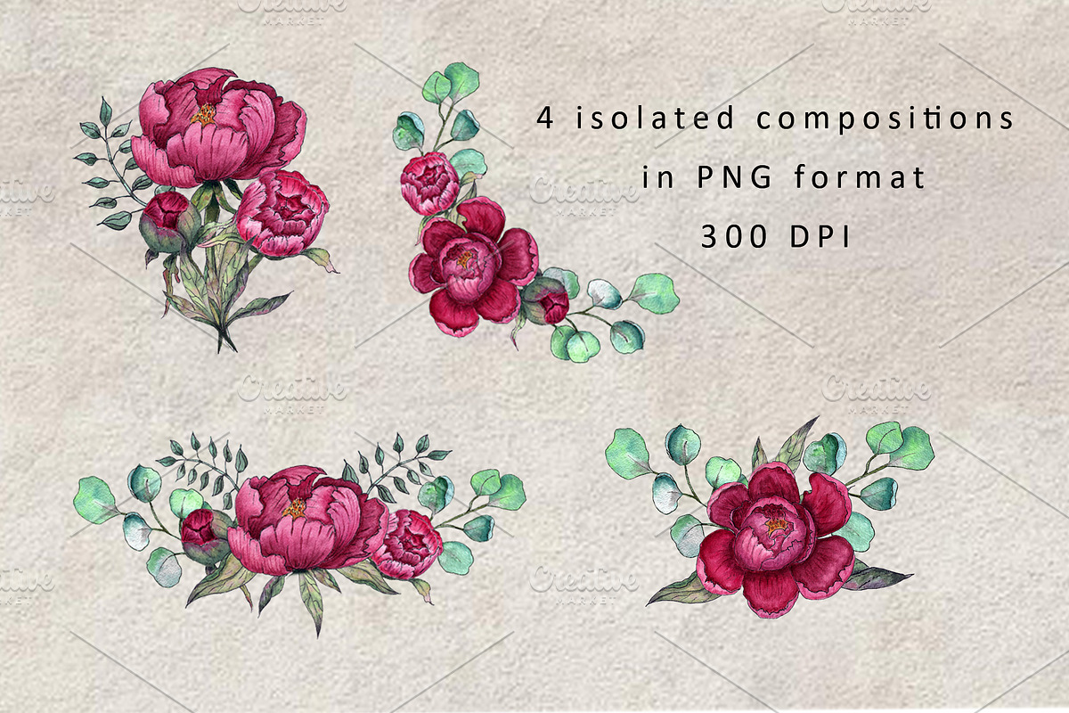 Peonies. Watercolor clipart, a Decorative Illustration by TetianaArt (Photo 4 of 11)