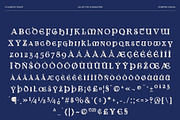 CS Lizbeth Stamp, a Serif Font by Craft Supply Co. (Thumbnail 8 of 8)