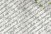 Senofeetha, a Script Font by Integritype Studio (Thumbnail 13 of 15)