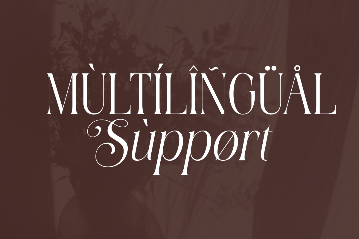 Shine Heels - Elegant Beauty Serif, a Serif Font by Qweera Studio (Photo 12 of 12)