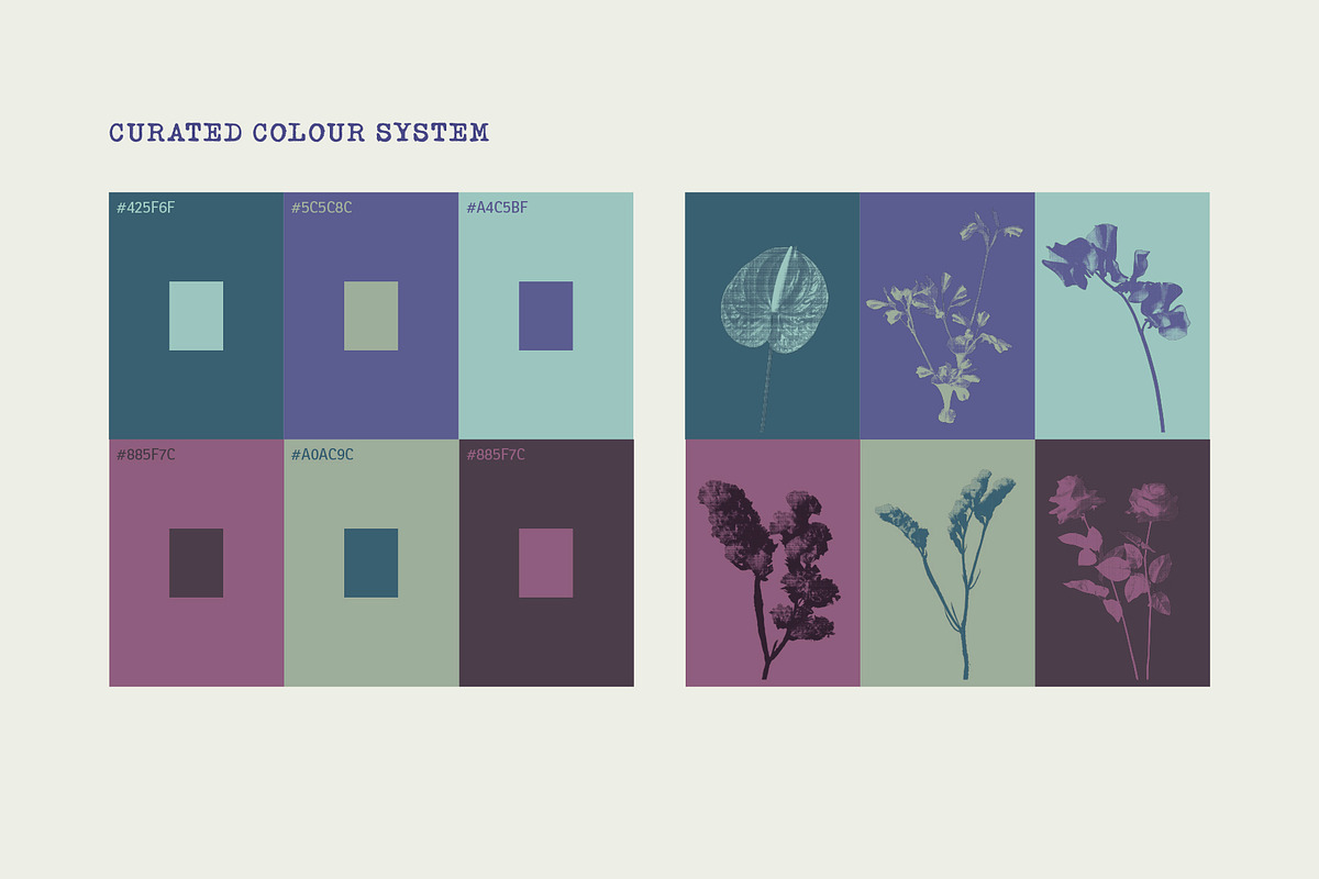 Printed Botanical Graphics, an Object Graphic by Neatly Made Studio (Photo 10 of 17)