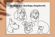 30 Dogs line drawings. Dog breeds, an Outline Icon by velychko.ua (Thumbnail 6 of 9)
