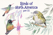 Birds of North America part 3, an Animal Illustration by Art & Things (Thumbnail 1 of 8)
