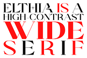 Elthia - Variable Serif, a Serif Font by Valentino Vergan (Thumbnail 10 of 14)