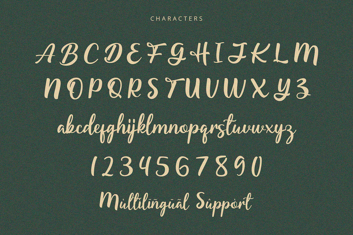 Starella - Script Font, a Font by Alpaprana (Photo 7 of 9)