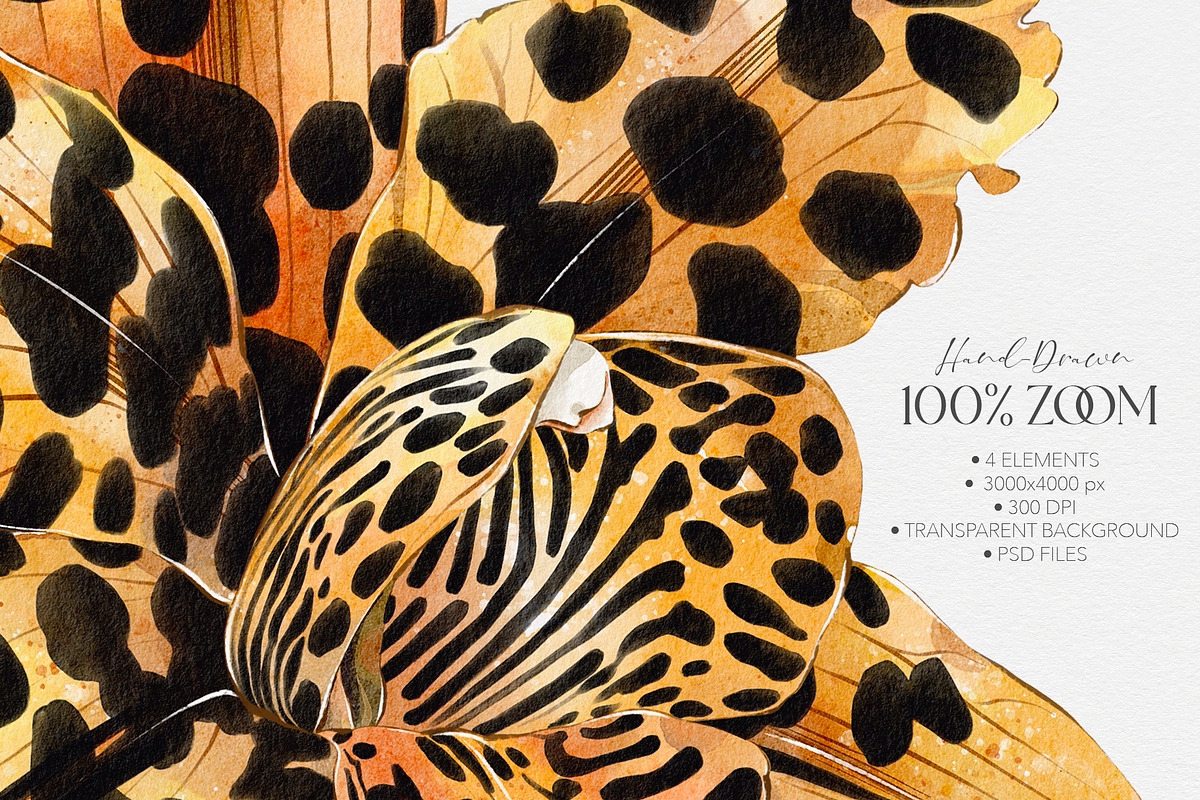 Leopard Bloom - Patterns & Motifs, a Pattern Graphic by Alisa Fimen Design (Photo 5 of 11)