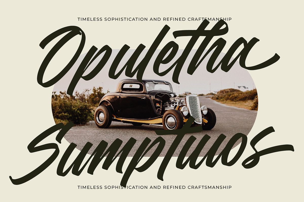 Madena Vintage Bold Script Font, a Script Font by Letterena Studios Script (Photo 8 of 20)