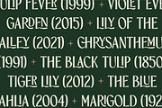 TBJ Orcherum Unique Ligatures Sans, a Font by Taboja Studio (Thumbnail 9 of 21)