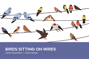 Birds sitting on wires + poster, an Animal Illustration by Good Studio