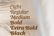 Dariul Sans Font Family, a Sans Serif Font by Creative Foundry (Thumbnail 2 of 8)