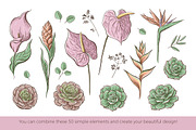 Tropical floral set | 105 elements!, an Object Illustration by bariskina (Thumbnail 5 of 14)