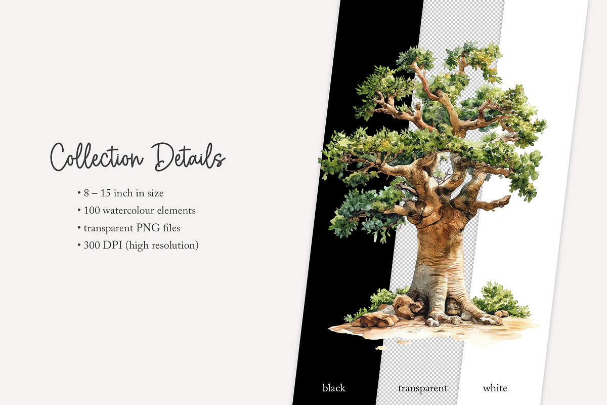 100 watercolour global tree clip art, a Seasonal Illustration by Poppy Lane Studio (Photo 11 of 11)