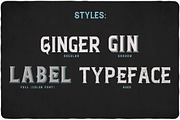 Ginger Gin typeface, a Script Font by VozzyStock (Thumbnail 4 of 5)