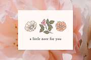 Garden Floral Vector Illustrations, a Decorative Illustration by Emma Webb Studio (Thumbnail 8 of 9)
