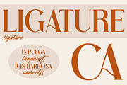 VIOLLEN Patricia Typeface Font Duo, a Serif Font by Storytype Studio (Thumbnail 5 of 14)