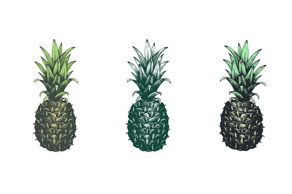 Pineapple Vector Collection, a Food Illustration by Lubov Illustrations Shop (Photo 2 of 6)