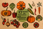 Vector ink vegetables and patterns, a Background Graphic by lenavetka87 (Thumbnail 1 of 5)
