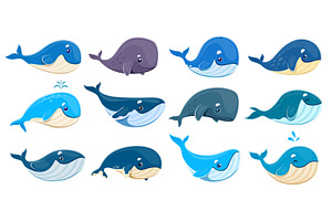 Cartoon whale characters, an Animal Illustration by Vector Tradition