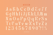 Promised Freyna Modern Display Serif, a Serif Font by Denustudios (Thumbnail 11 of 13)