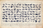 Zoology Animal Illustrations, an Animal Illustration by BlackBird Foundry (Thumbnail 2 of 3)